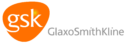 PAINTech customer, GlaxoSmithKline logo