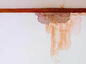 moisture damage on a wall Paint, Moisture Intrusion, and Your Business