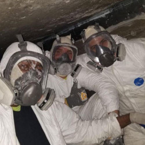 Three commercial painters in masks