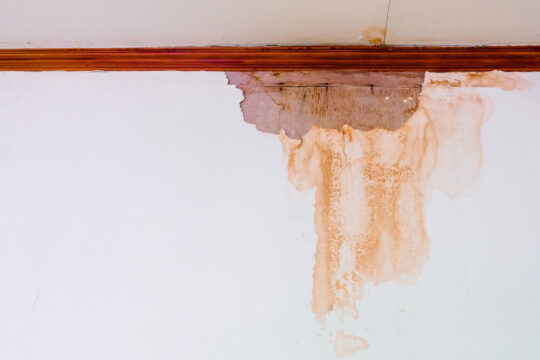 moisture damage on a wall